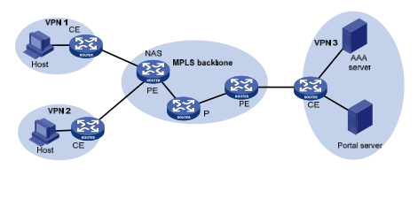 Portal 支持多实例典型组网图